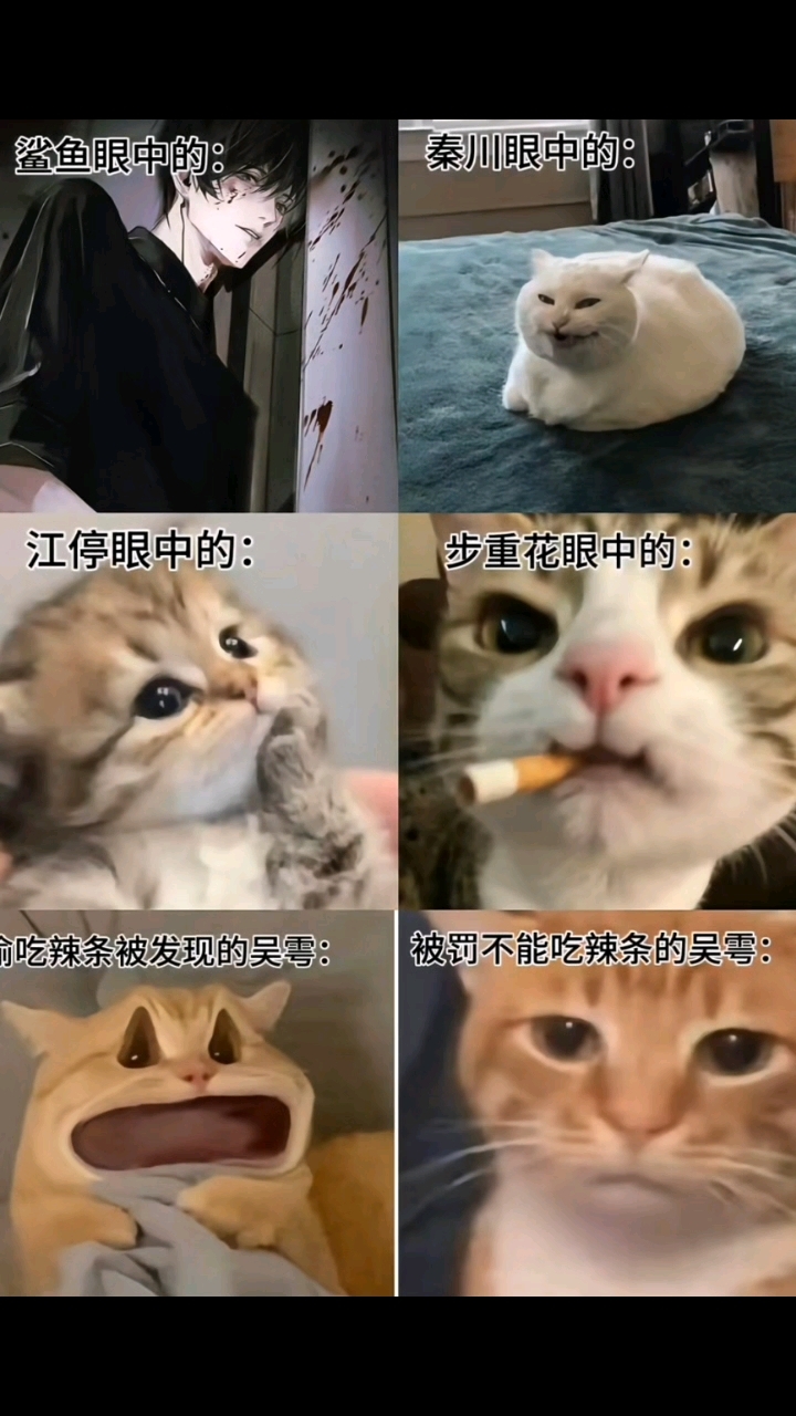 不同人眼中的吴雩