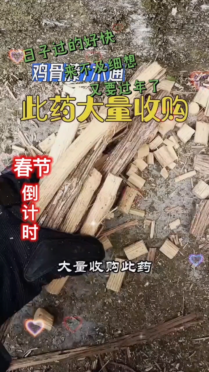 鸡骨藤,你们那边有吗