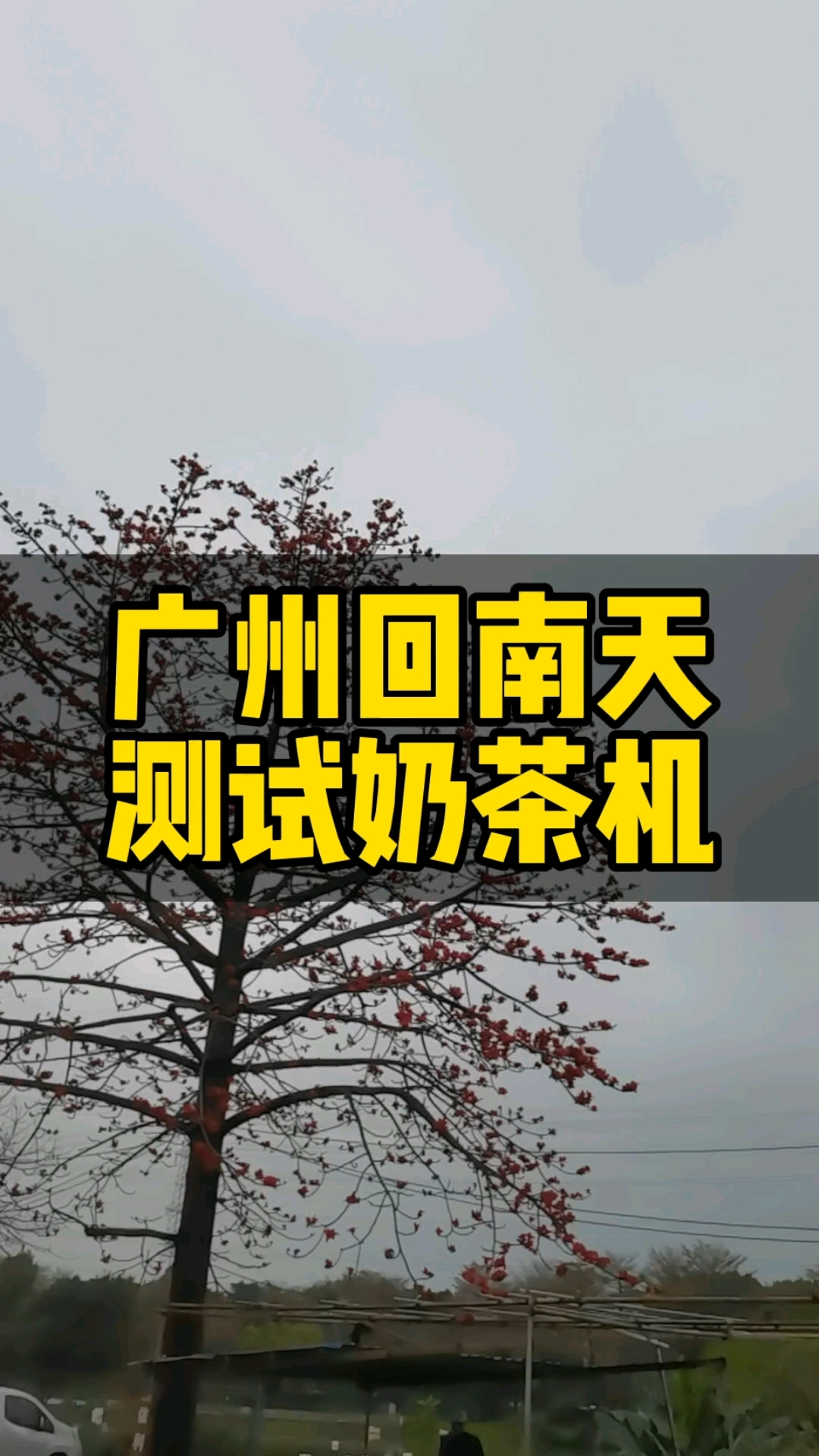 广州最近都是回南天,在工厂安心给大家测试自动奶茶机