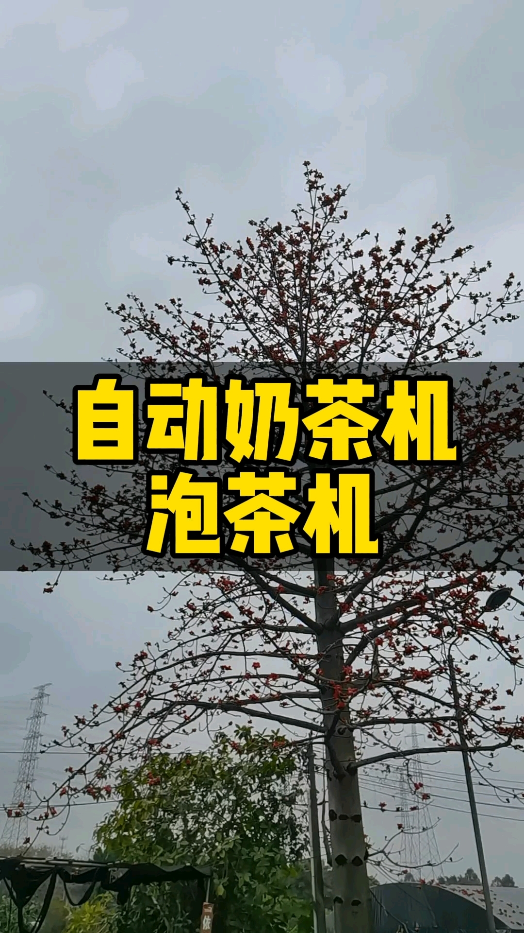 今年的智能设备主流,自动奶茶机加泡茶机,不断有客户过来工厂