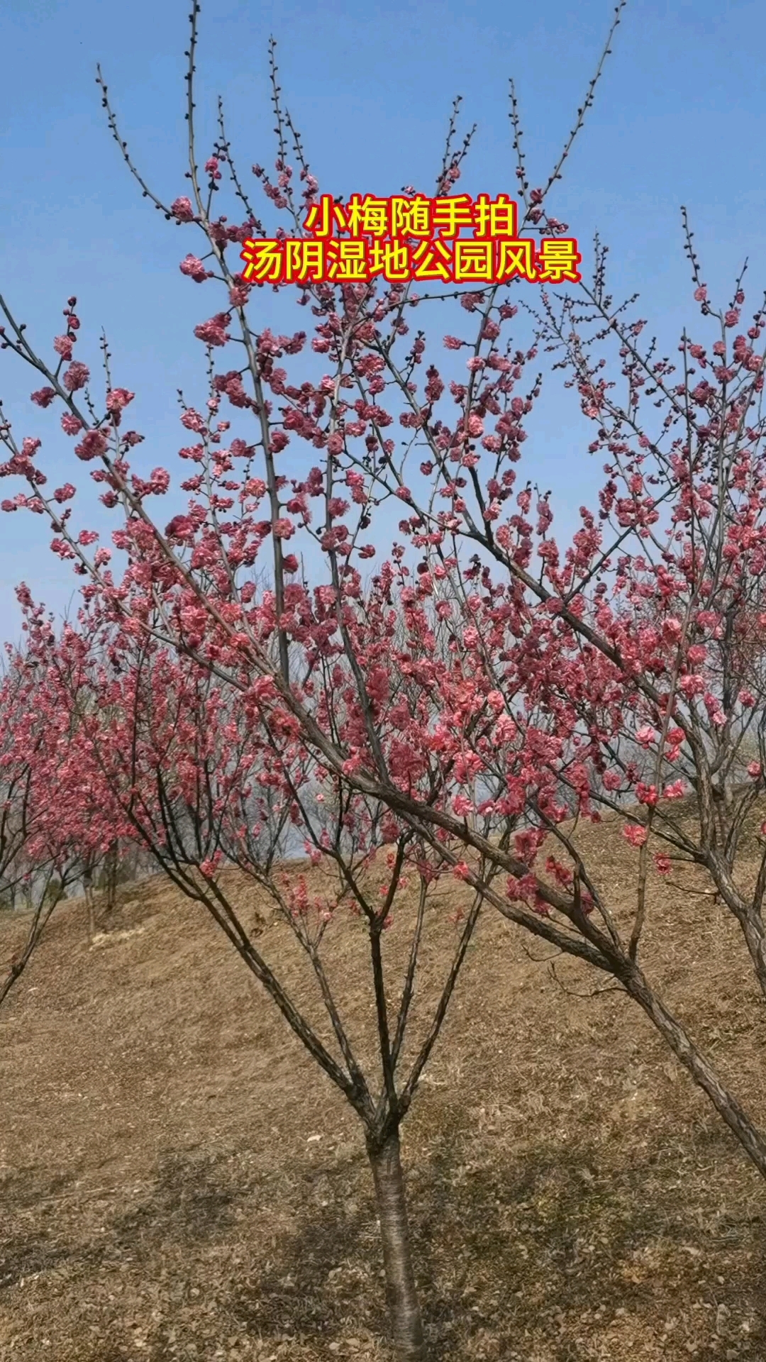 汤阴湿地公园欢迎你