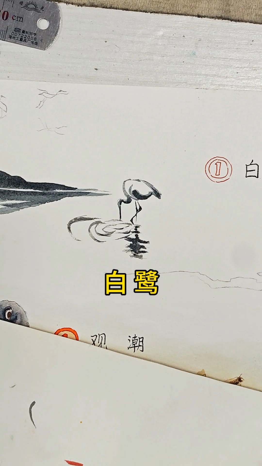 手绘课文插图之《白鹭》