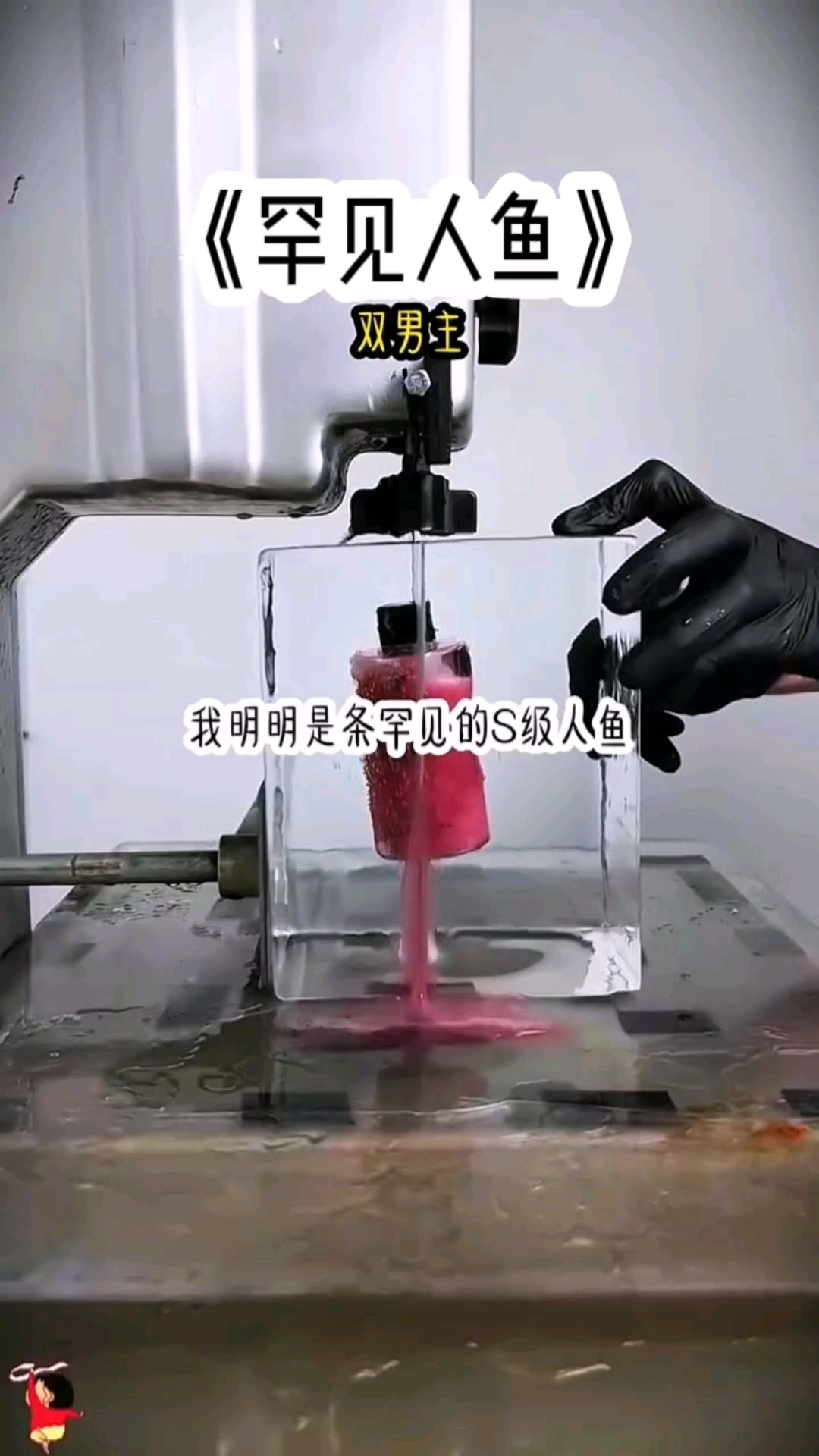 罕见人鱼