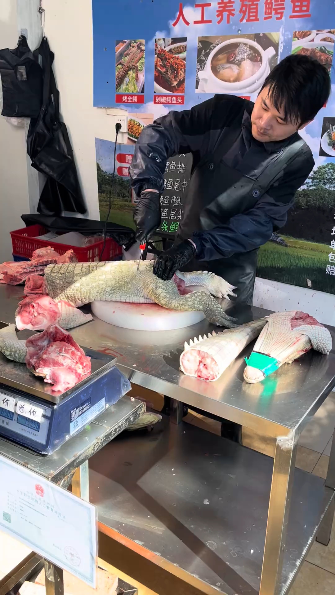 鳄鱼肉