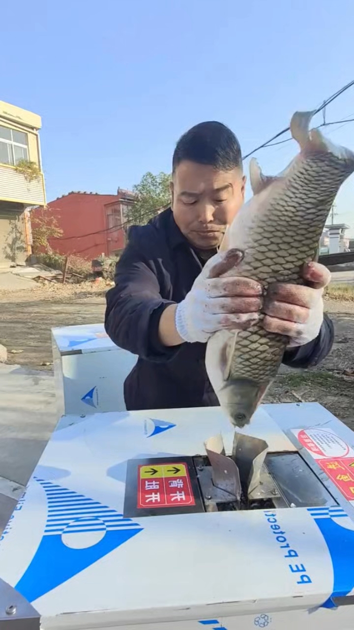 全自动杀鱼机