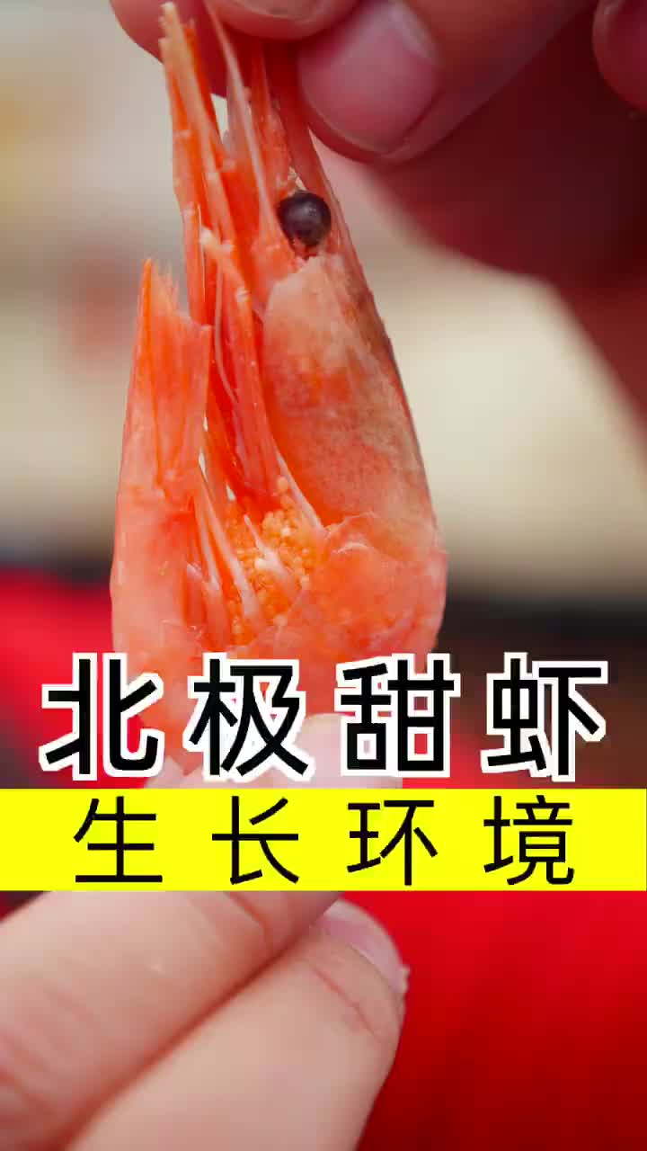 北极甜虾为什么解冻就可以吃呢?