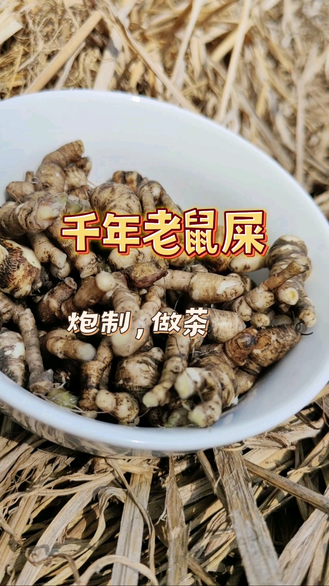 这紫背天葵我是这样炮制的