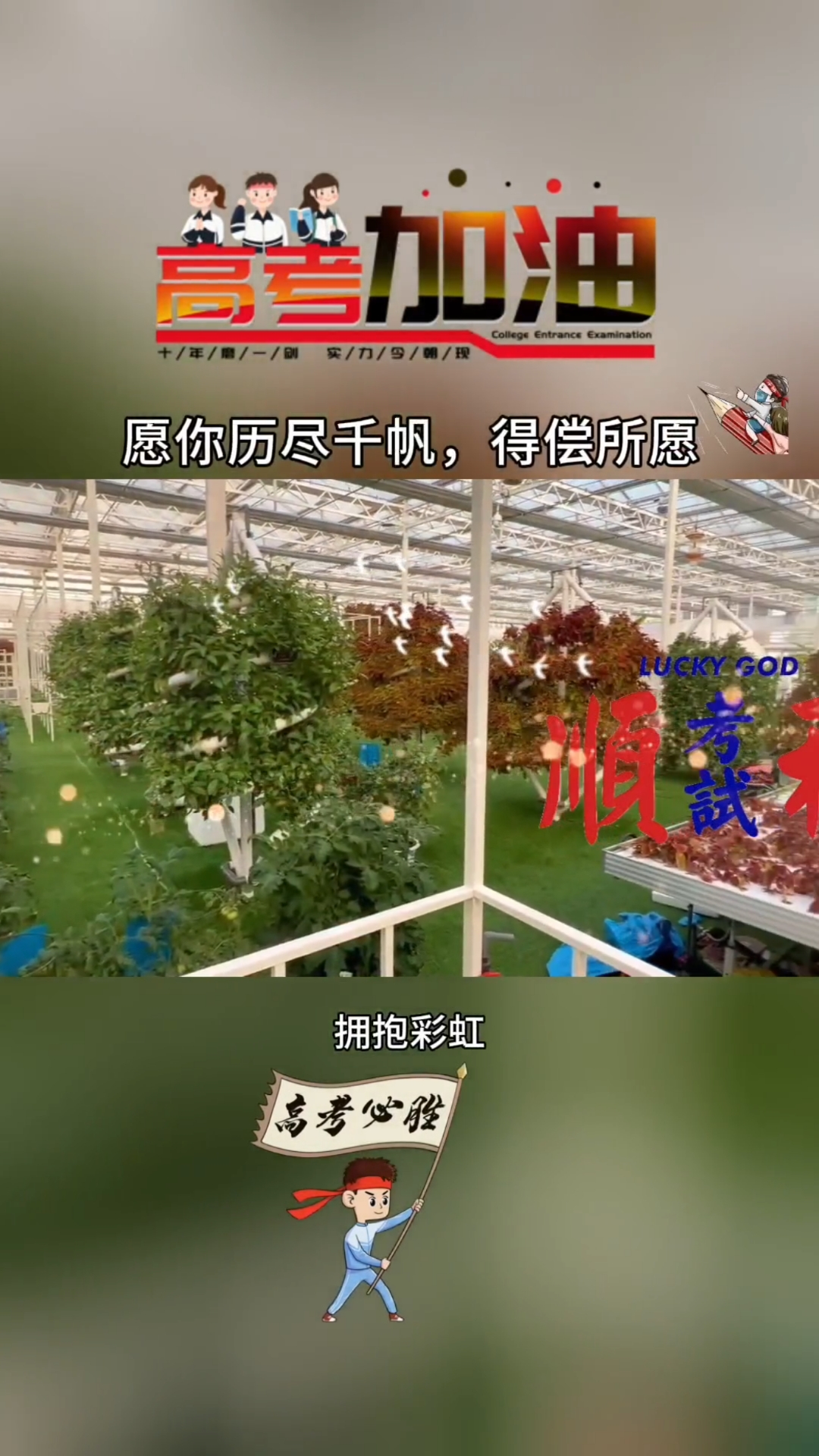 #鱼菜共生系统#