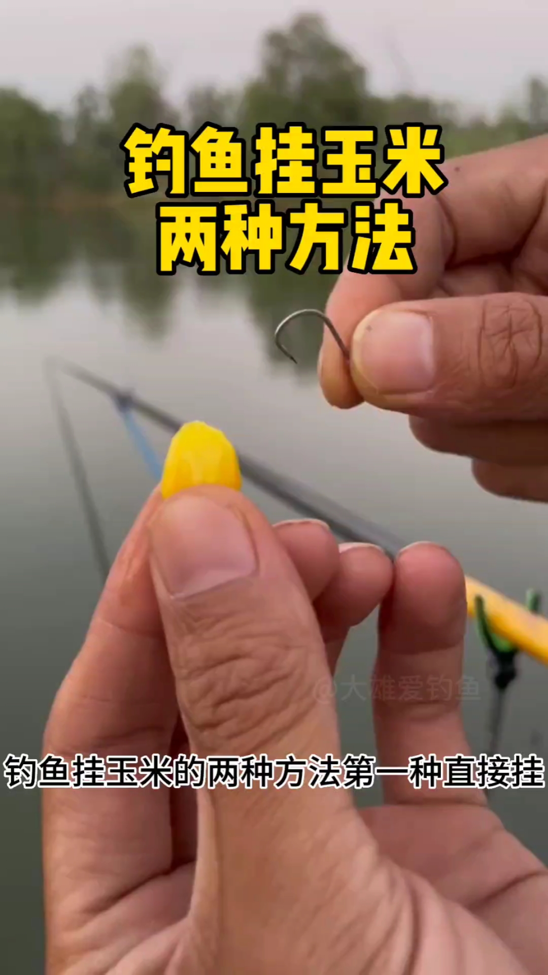 钓鱼正确挂玉米的两个方法
