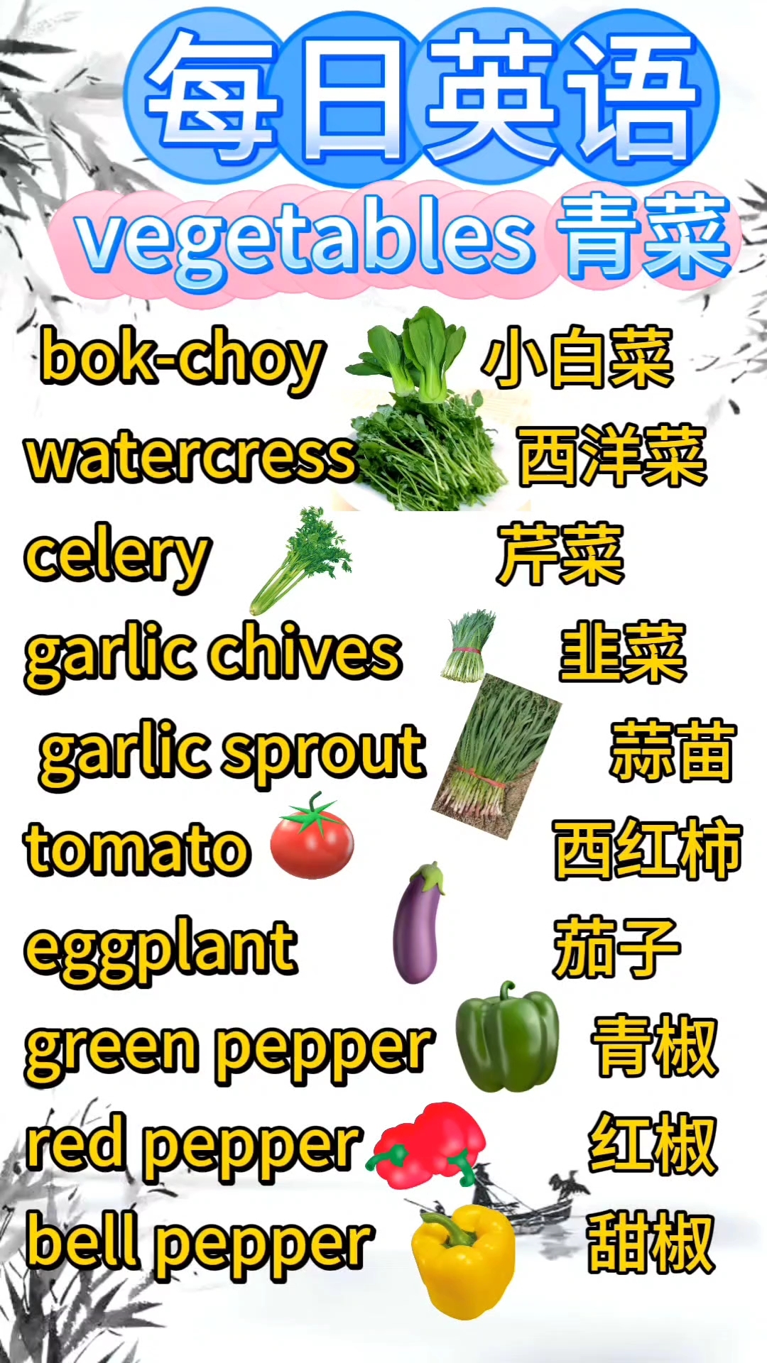 各类青菜英语
