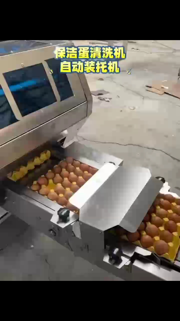全自动鸡蛋鸭蛋清洗机+装托机 每小时3万枚鸡蛋鸭蛋