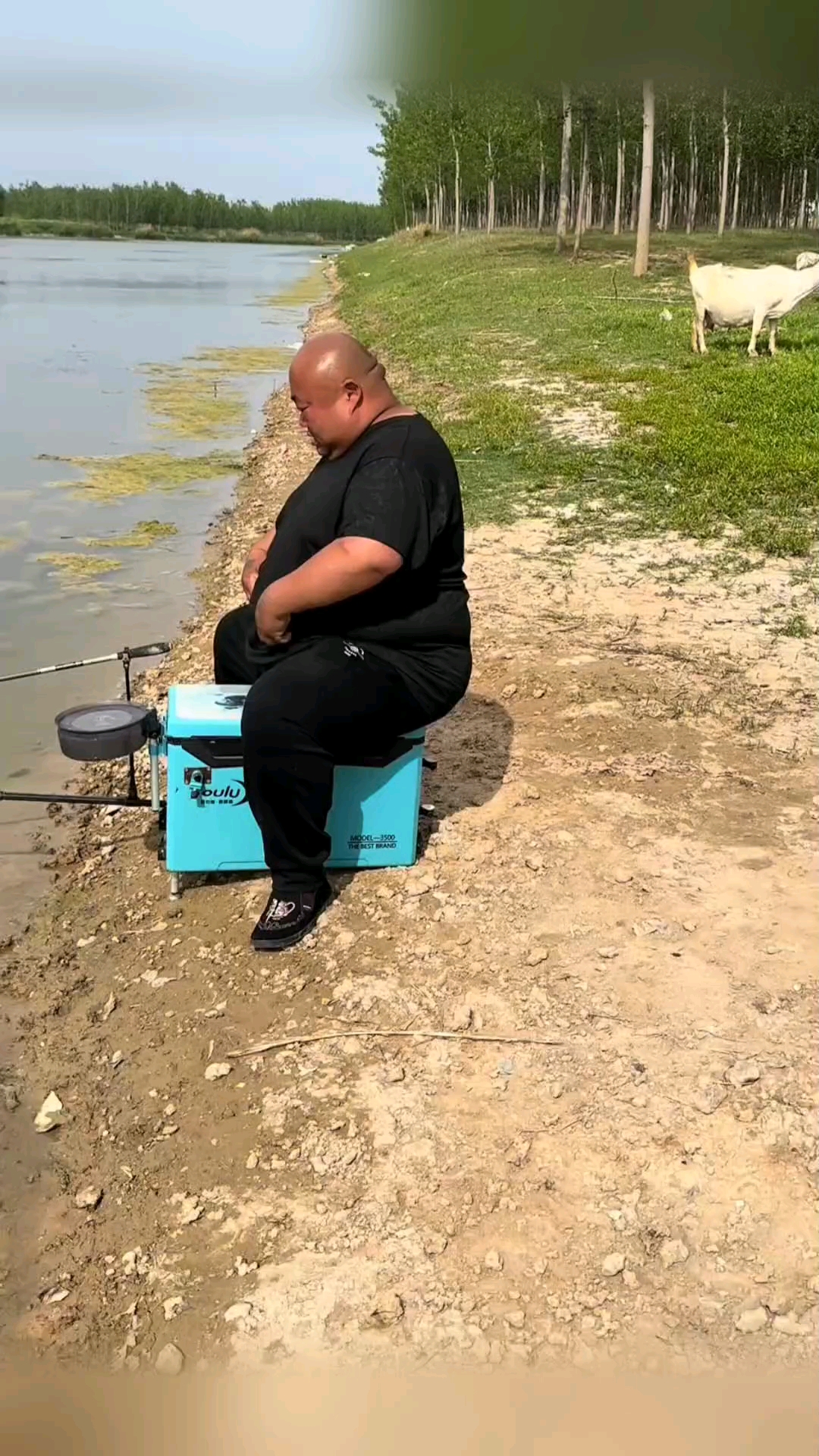 钓鱼那些搞笑瞬间