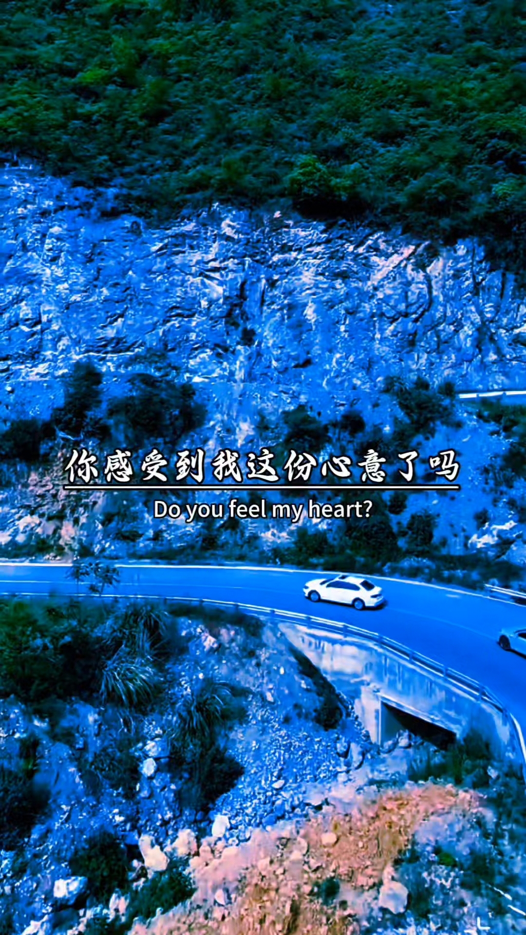 亲爱的宝,转眼就要立秋了。秋天的第一杯奶茶,我早就想好了