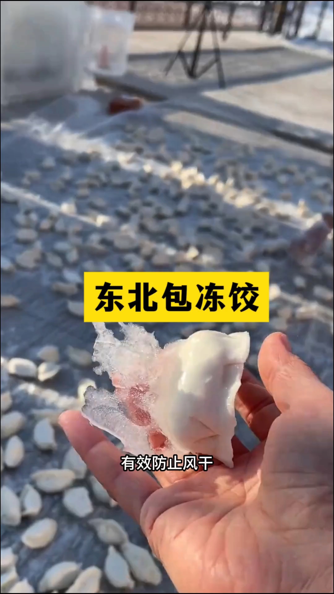 东北农村包冻饺子