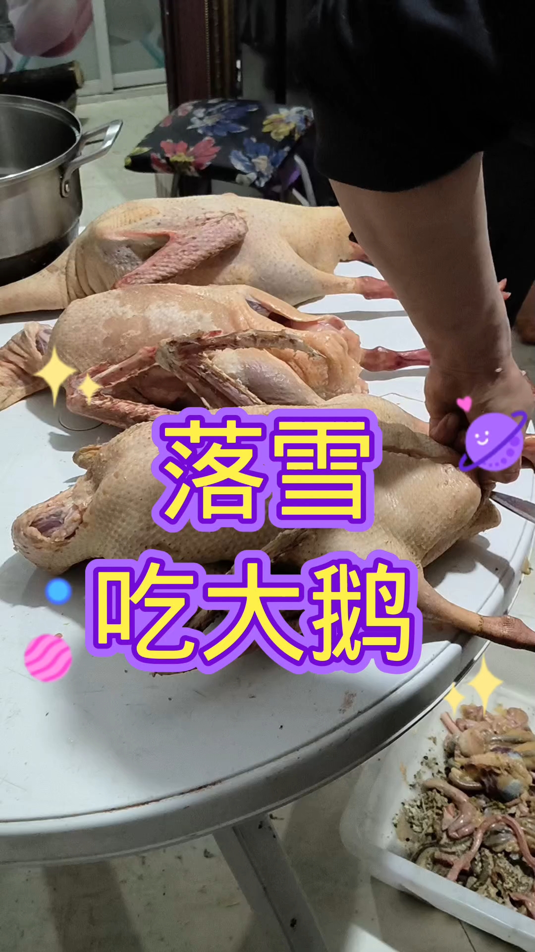 #东北散养笨大鹅 #东北大鹅 #记录东北农村生活