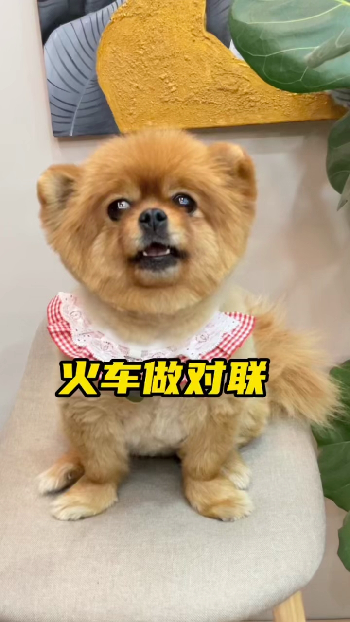 辣条随心给火车做对联,大家觉得怎么样?