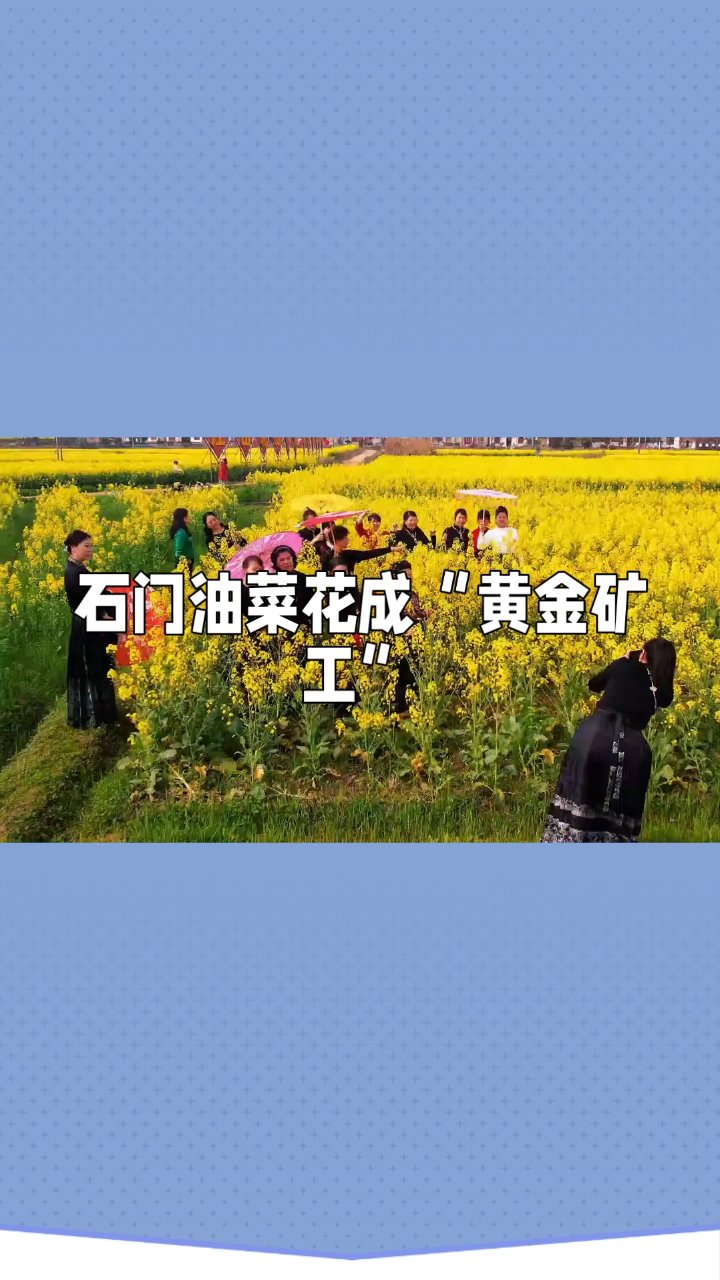 石门易家渡油菜花
