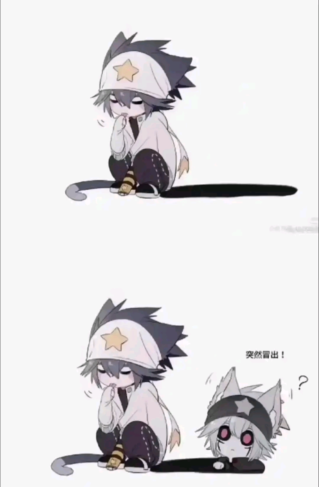 雷狮和影狮(猫猫版)#凹凸世界