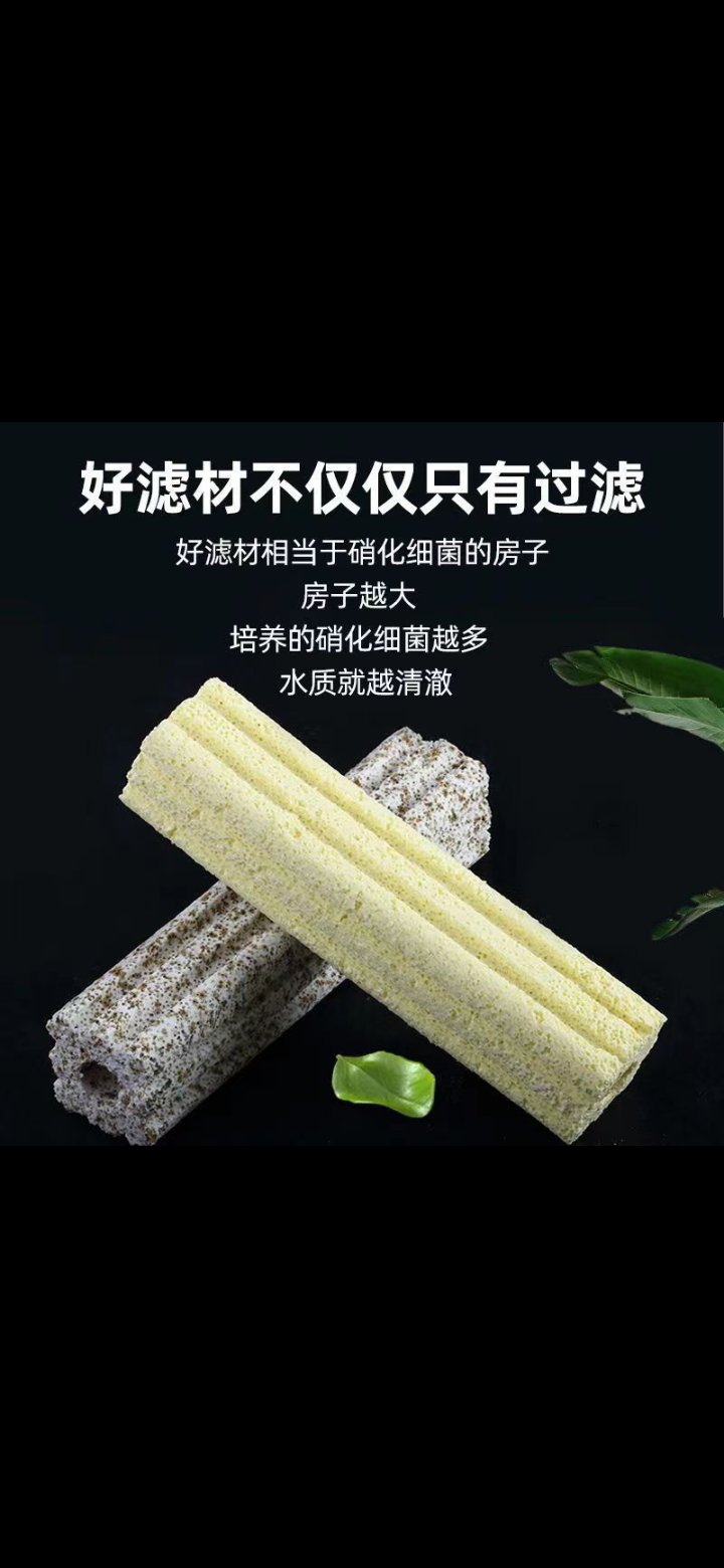 如何正确摆放鱼缸中的细菌屋