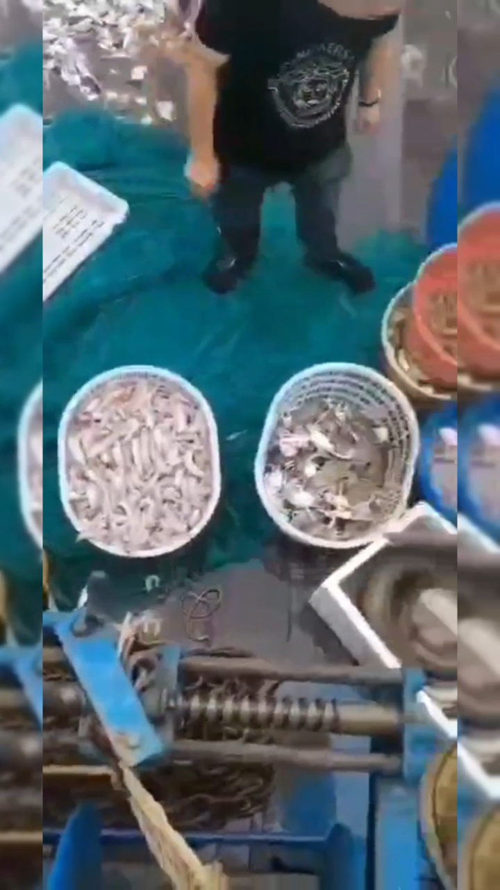 去象山出海捕鱼,心里痒痒的!一想到能在海上撒网捕鱼