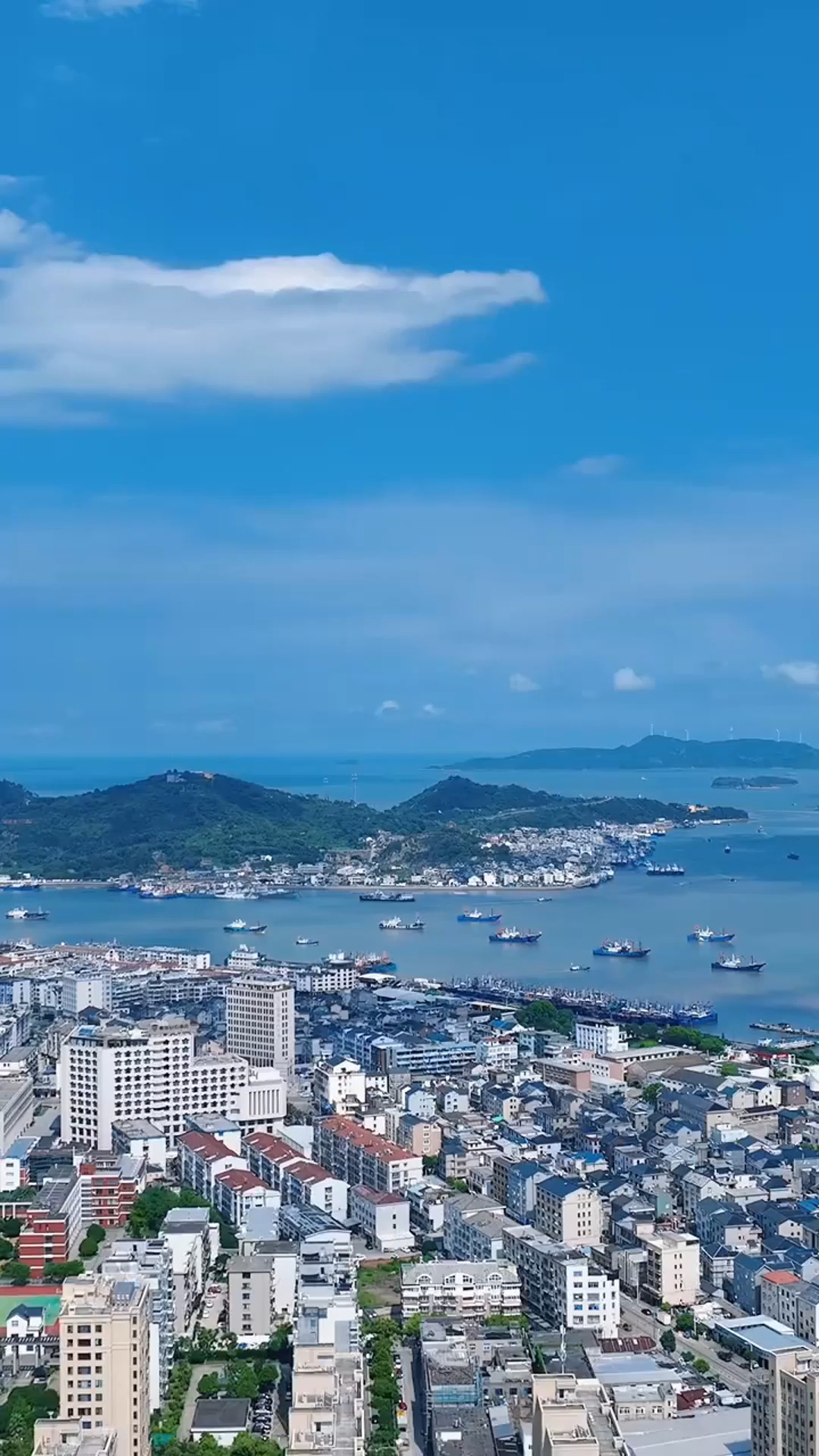 象山石浦出海捕鱼,收网时满满的一兜海鲜