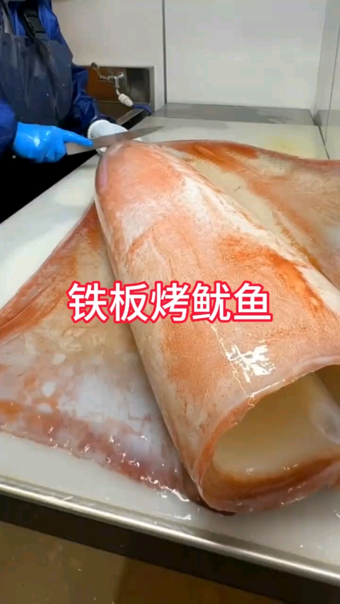 铁板烤鱿鱼