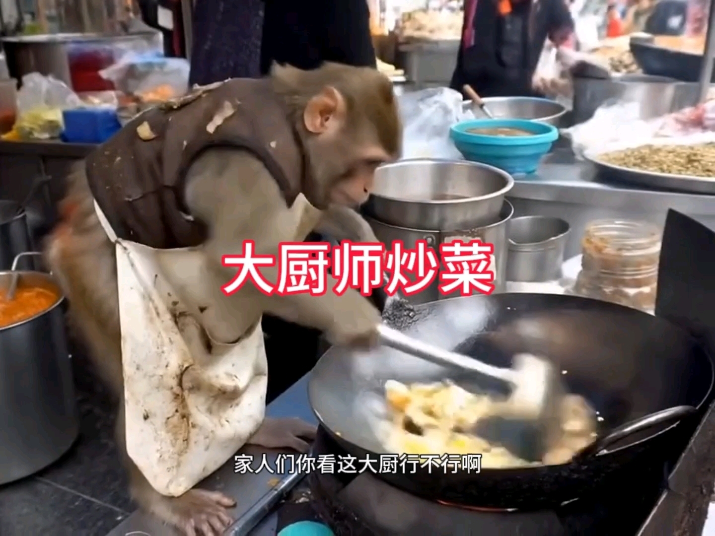 大厨师炒菜呢