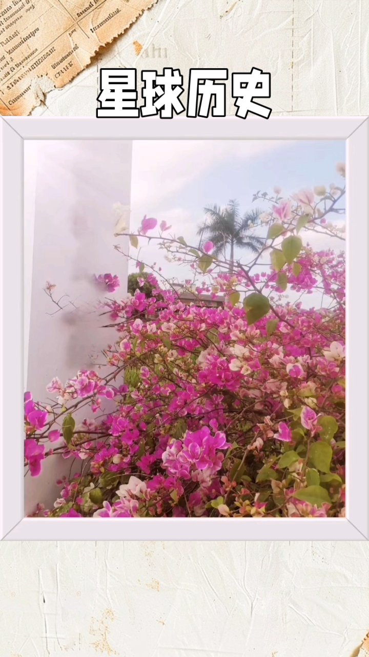 Medic星球爆炸与人鱼传说