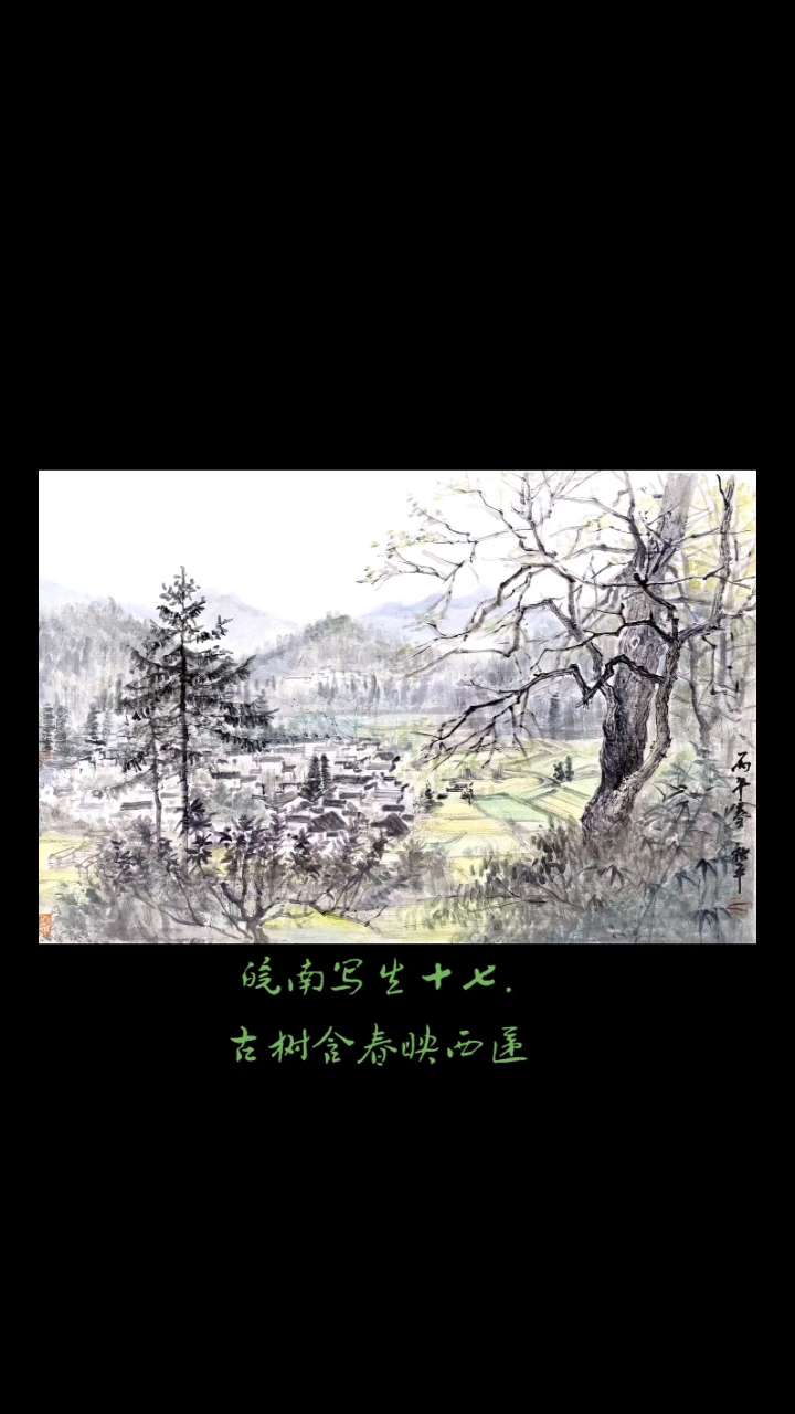 皖南写生之十七.古树含春映西递#皖南写生#西递写生#屏山写生#宏村写生#江南水墨画# #古