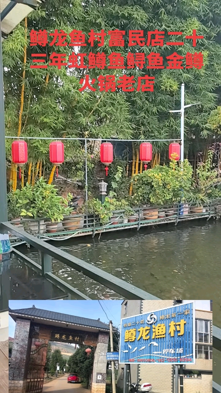 鳟龙鱼村富民店二十三年虹鳟鱼鲟鱼金鳟火锅老店老店