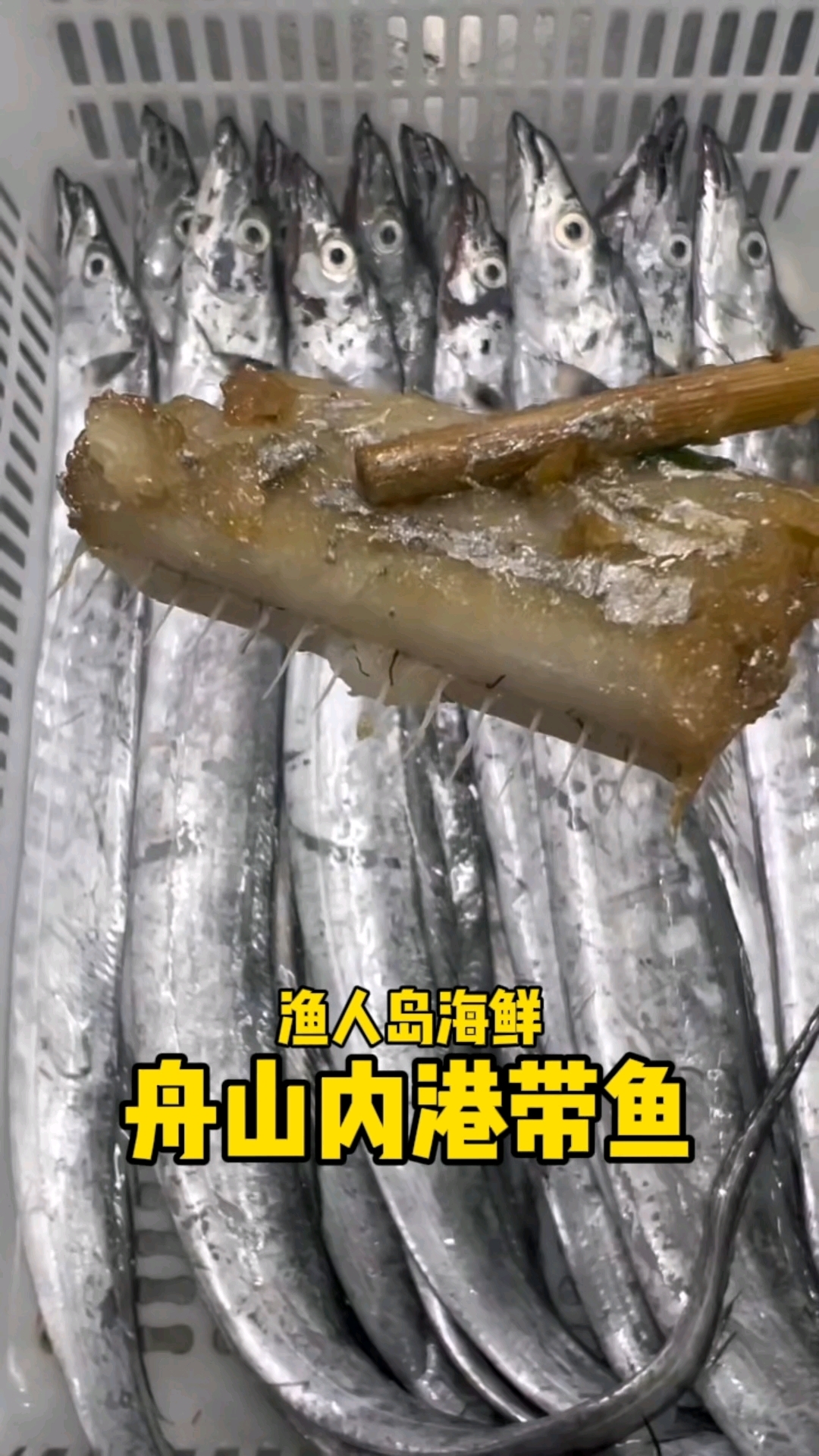 舟山内港带鱼 肉眼可见的油糯 半斤左右一条