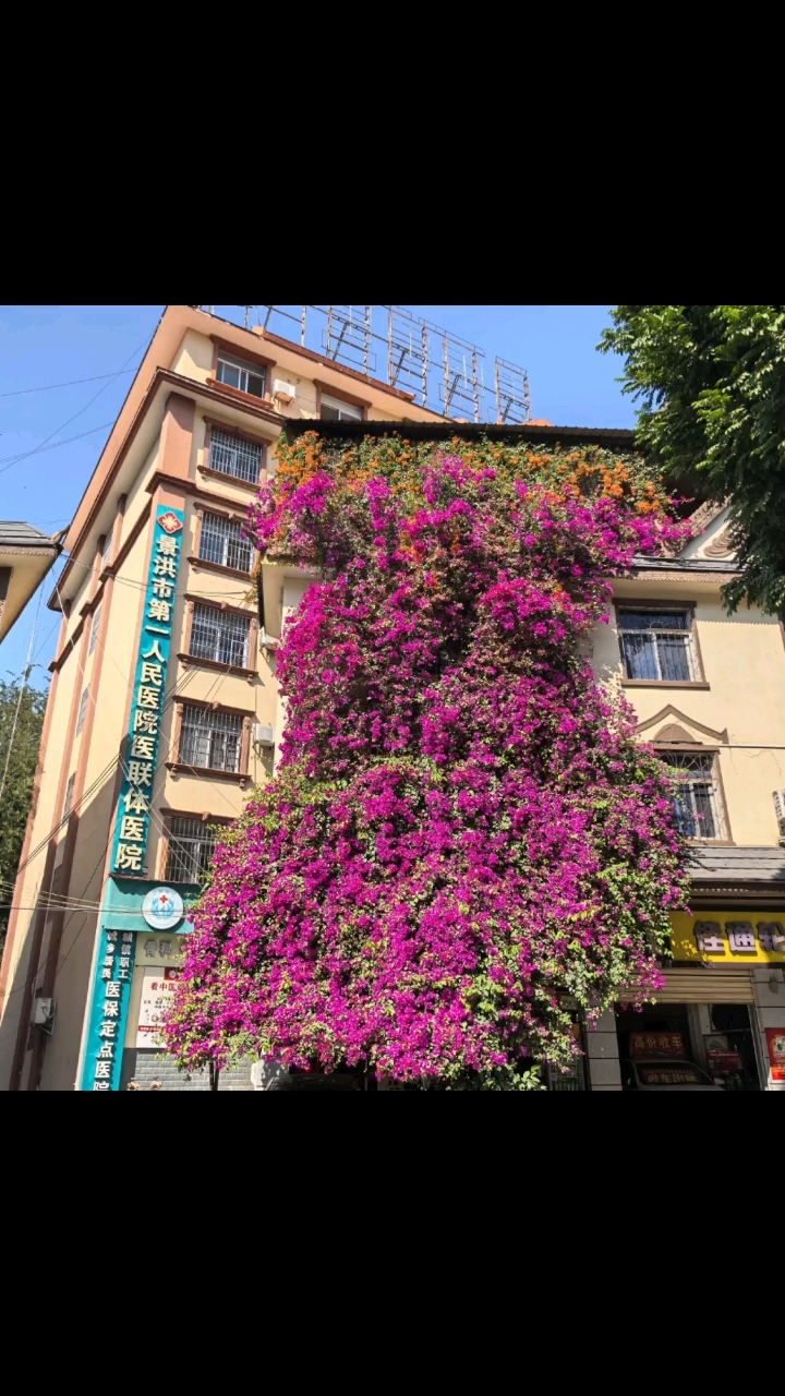 走进景洪曼景兰古城