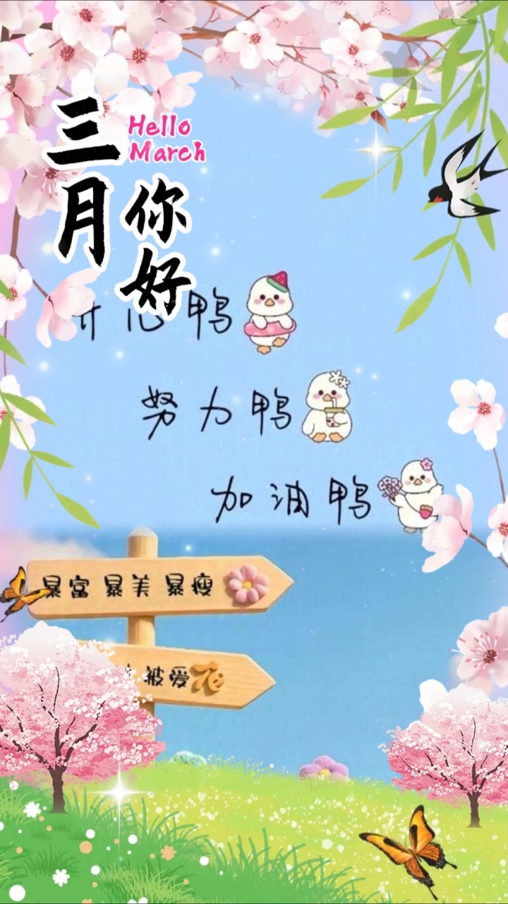 分享视频