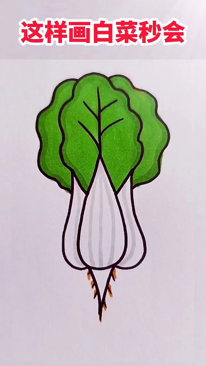 白菜简笔画
