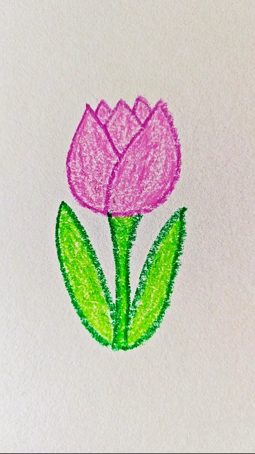 一看就会的郁金香简笔画 