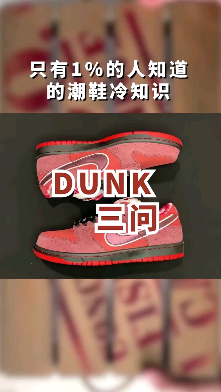 dunk龙虾的冷知识