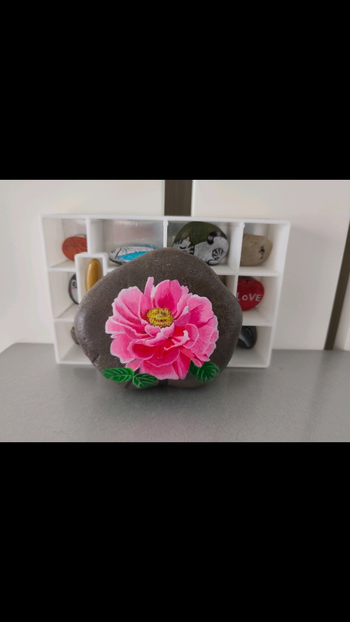 石头画粉色的牡丹花!寓意:富贵吉祥,典雅高贵!