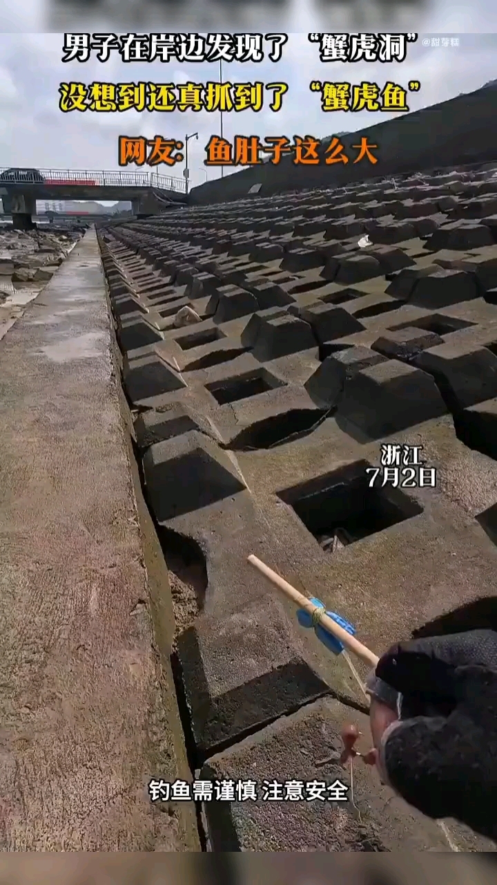 男子在岸边发现了“蟹虎洞”，没想到还真抓到了“蟹虎鱼”
