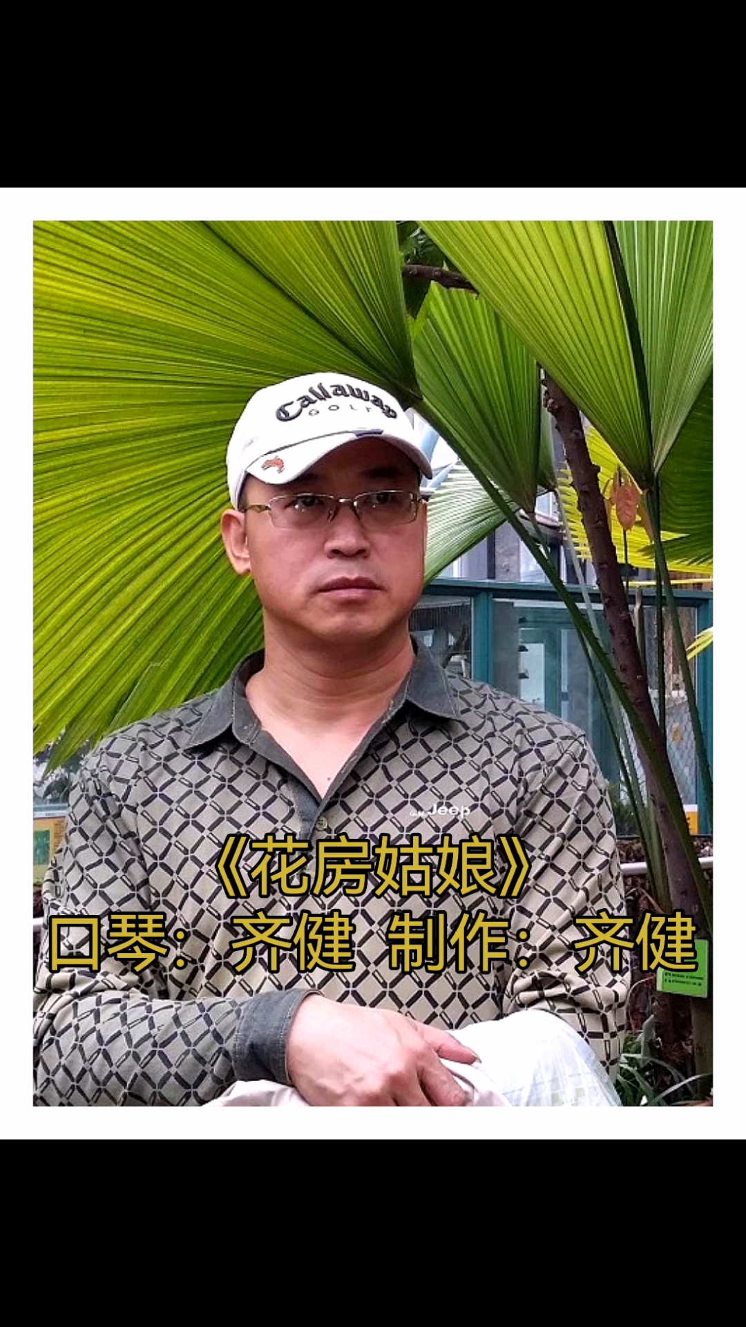 《花房姑娘》布鲁斯口琴Ab的