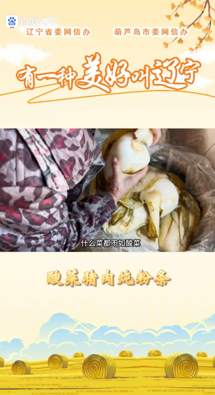 东北酸菜猪肉炖粉条