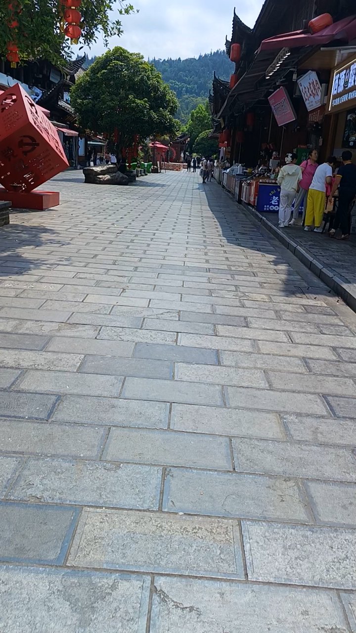 分享视频