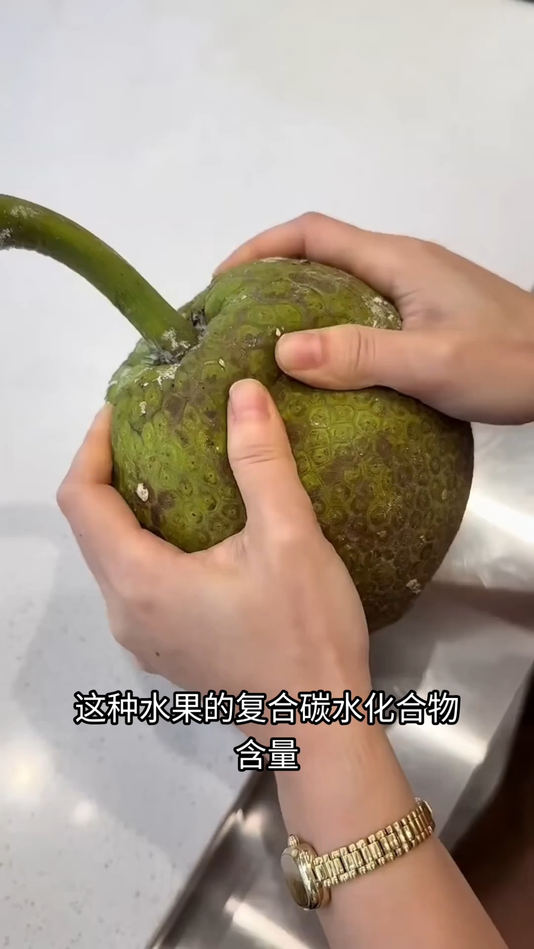 面包果