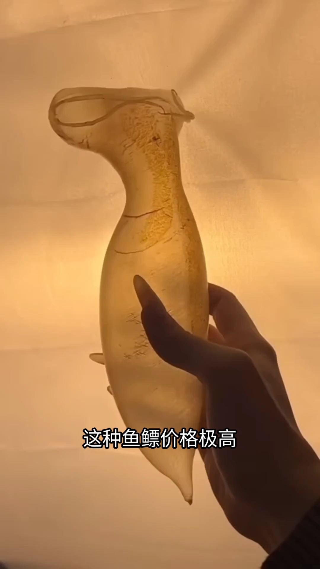 鱼鳔的价值