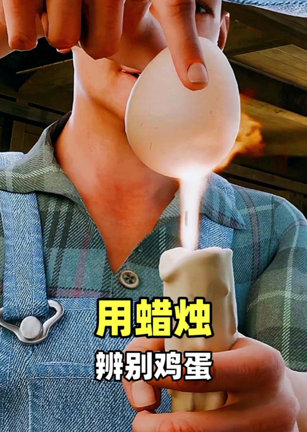 用一根蜡烛就能知道鸡蛋能否孵出小鸡#动画 #科普#涨知识