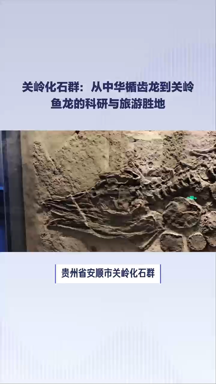 关岭化石群:从中华楯齿龙到关岭鱼龙的科研与旅游胜地