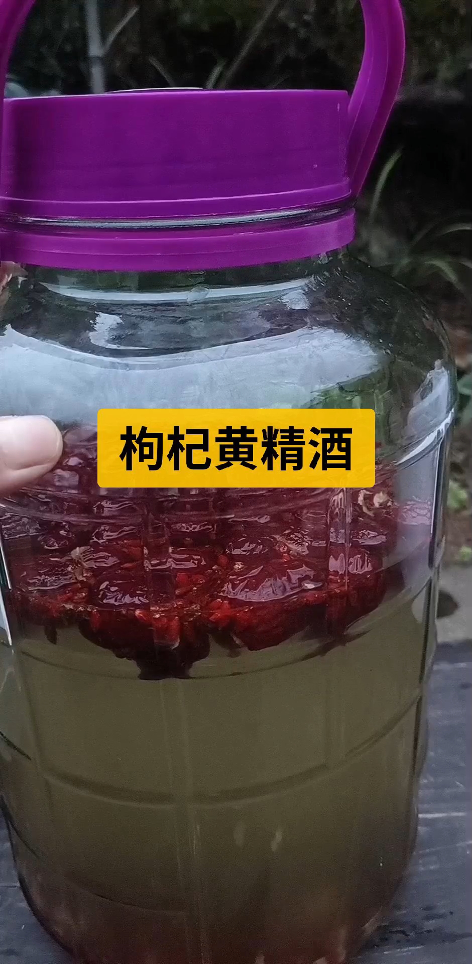 枸杞红枣黄精泡酒可滋阴补血,冬天适当喝点养生酒吧