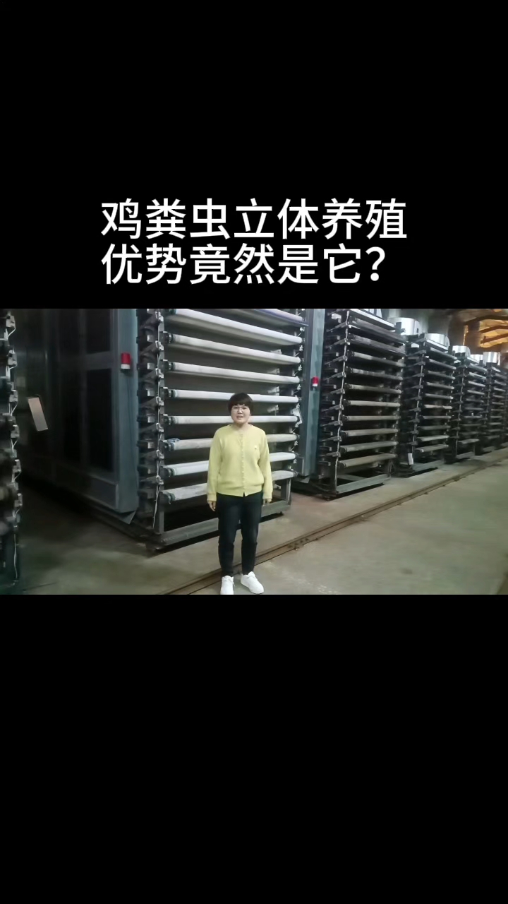 黑水虻鸡粪虫立体养殖设备