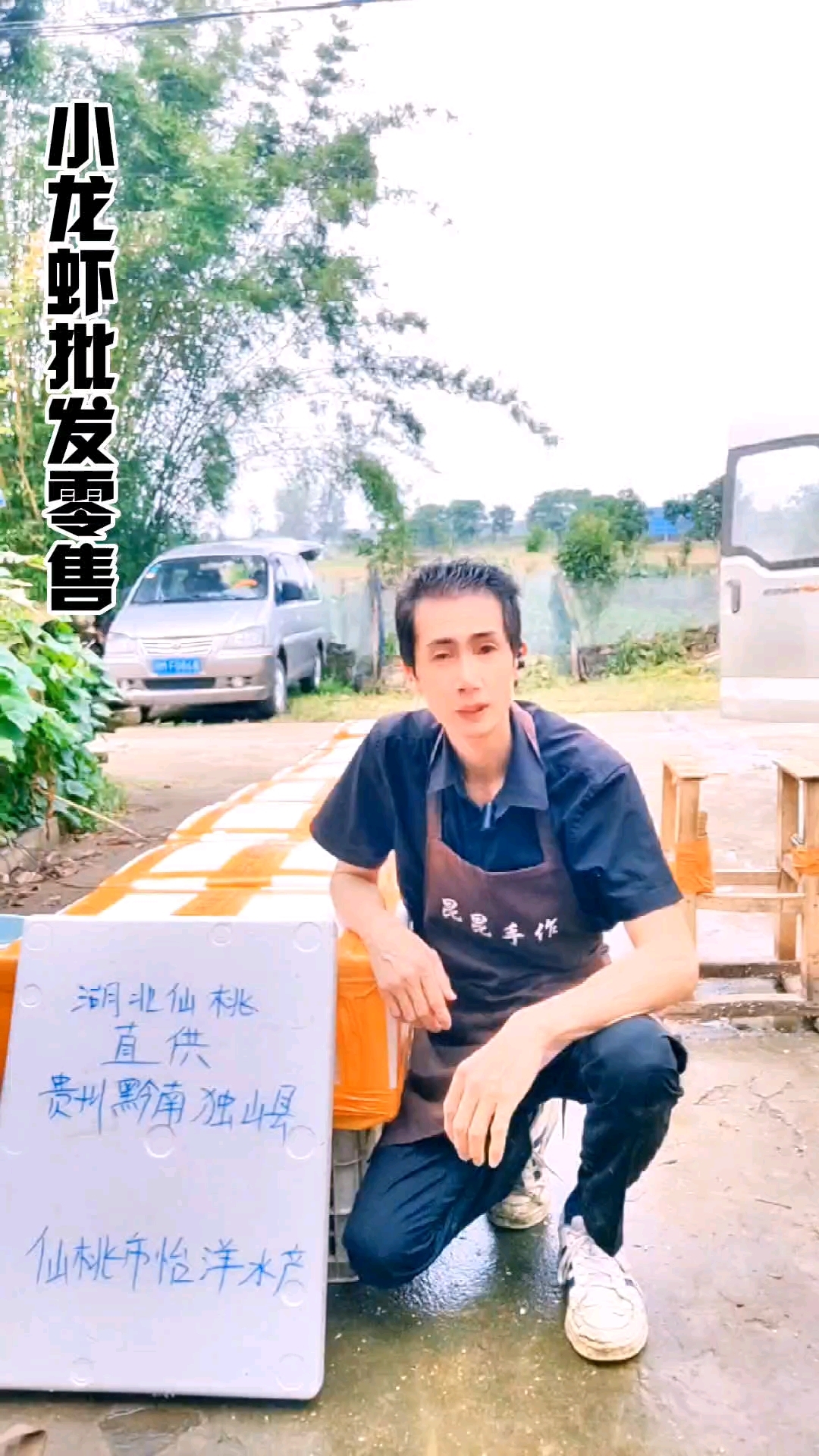 清水小龙虾养殖基地批发零售小龙虾全国各地能到