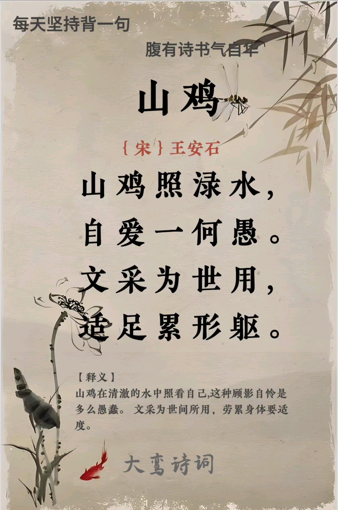 《山鸡》古诗中的山鸡为何宁死也要守护羽毛的华美?