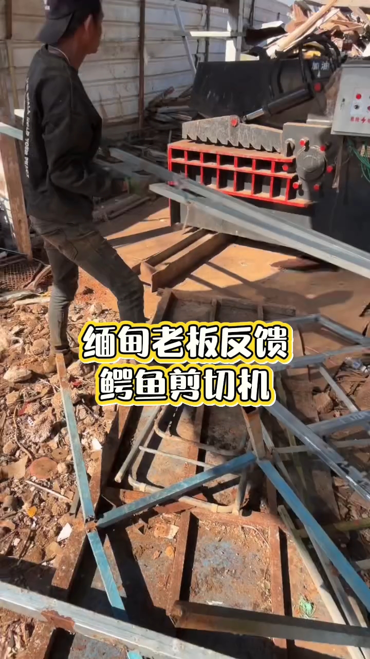 废旧金属液压鳄鱼剪废铁钢筋剪切机废钢切断机小型鳄鱼液压剪铁机